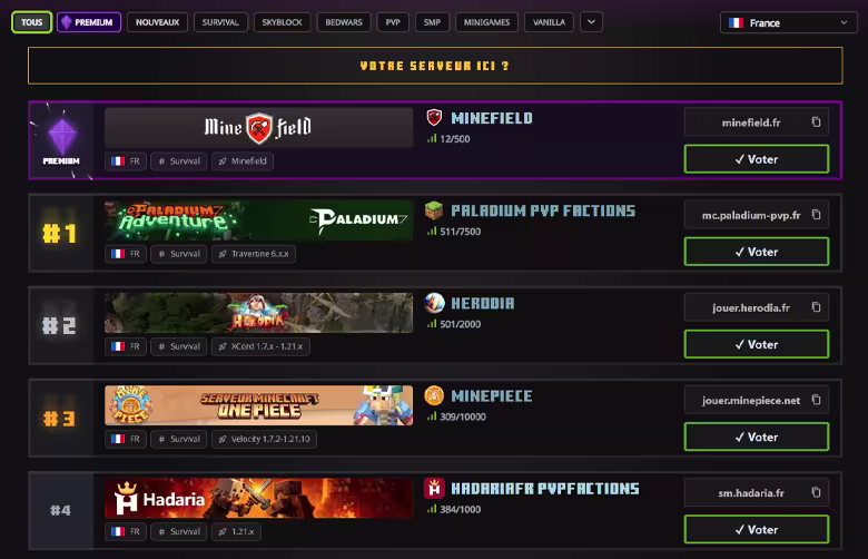 Interface responsive top serveur Minecraft