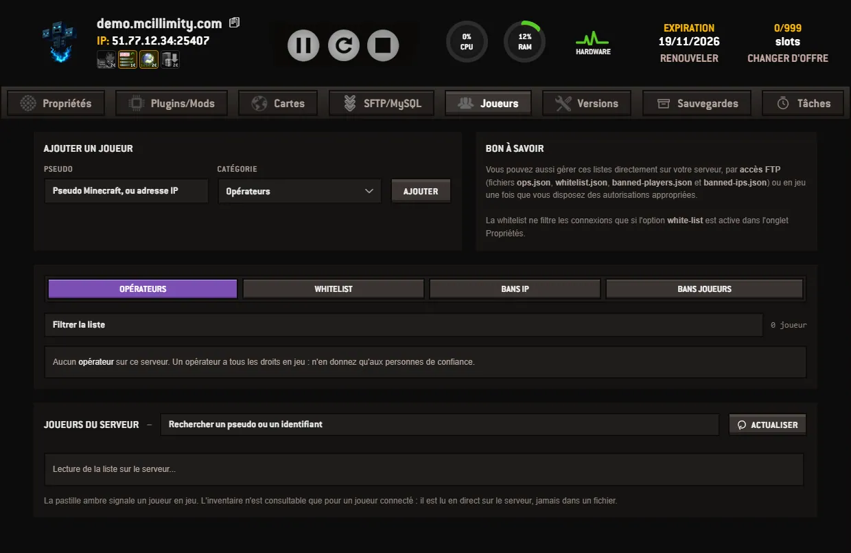 The Players tab of the Minecraft illimity panel: the form to add by username and by category, the Operators, Whitelist, IP bans and Player bans tabs, and the list of the server's players.
